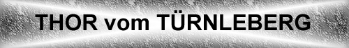 Thor vom T�rnleberg